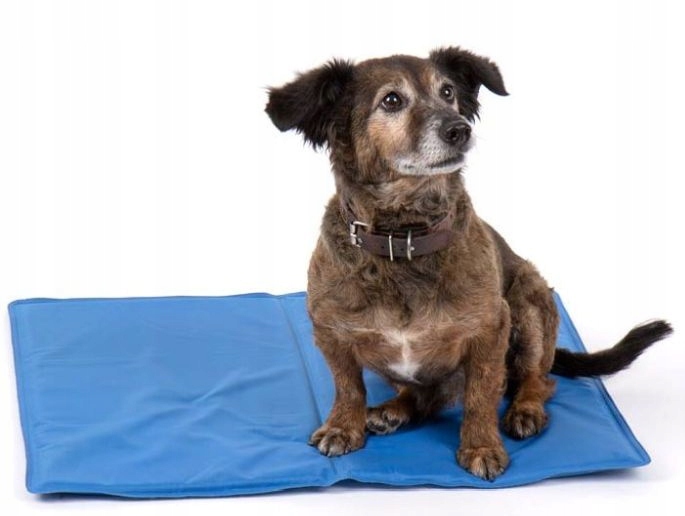 Levně Cestovní chladicí podložka pro psa 50 x 65 cm Camp4