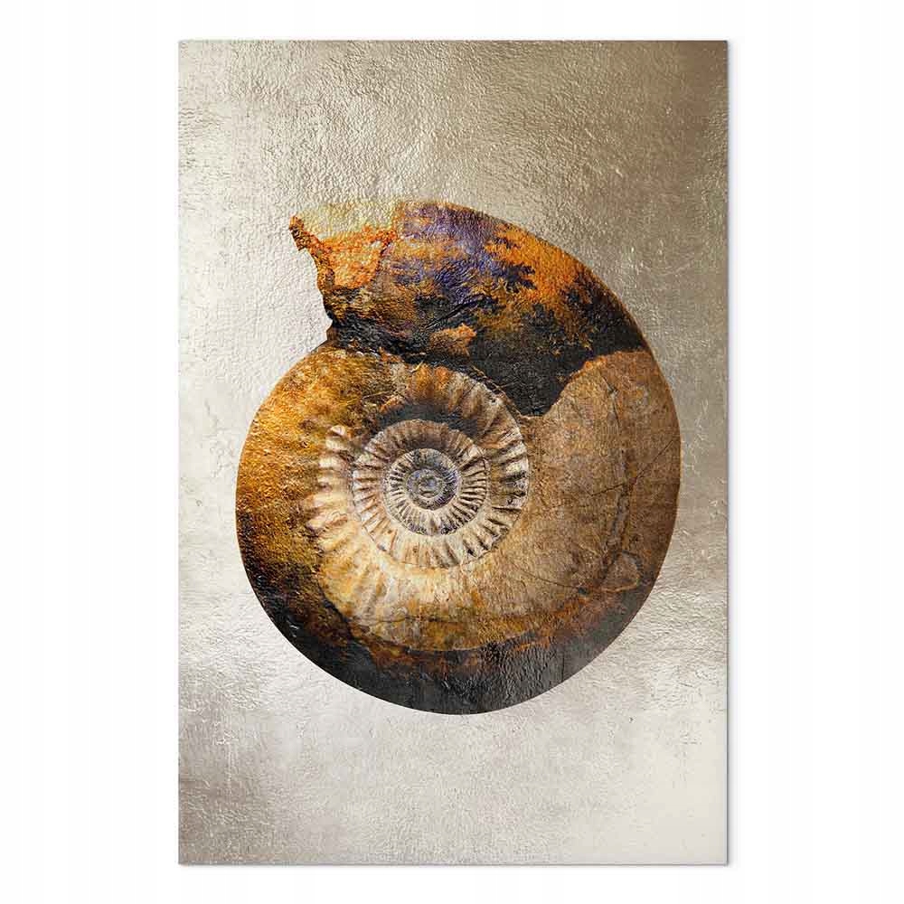 Obraz na plátně canvas Spirála Hlemýžď Amonit Skorupa Fibonacci 80x120 cm