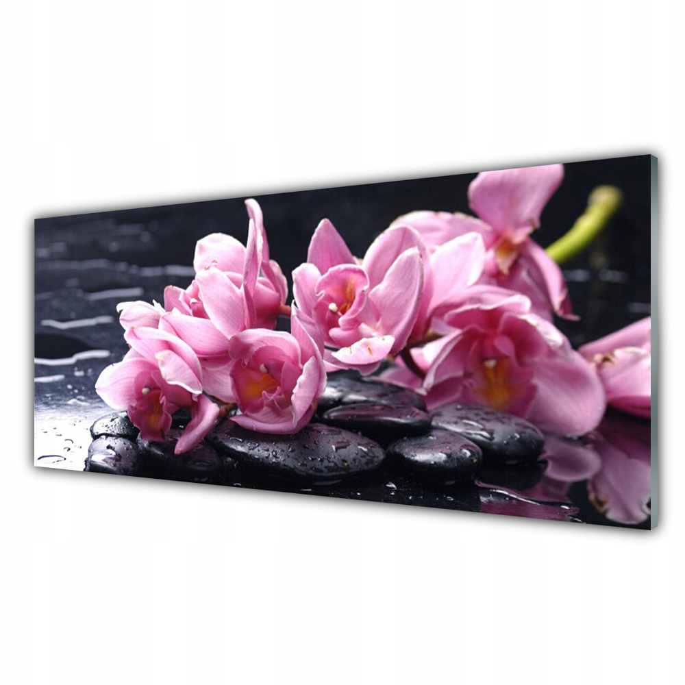 

Fotoobraz na prezent 125x50 Kwiat Orchidea Roślina