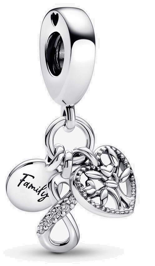 

Charms zawieszka Rodzina na zawsze Srebro 925