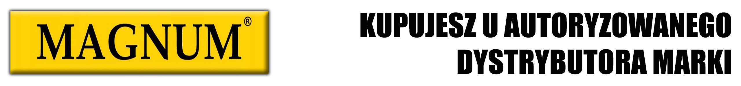 KOMPRESOR WARSZTATOWY MAGNUM 100L 230V 2,2kW 8 BAR Układ zbiornika pionowy