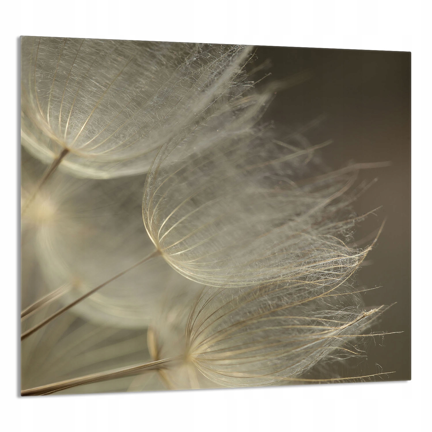 Skleněný Panel Do Kuchyně 65x60 Květ Tvrzené Sklo