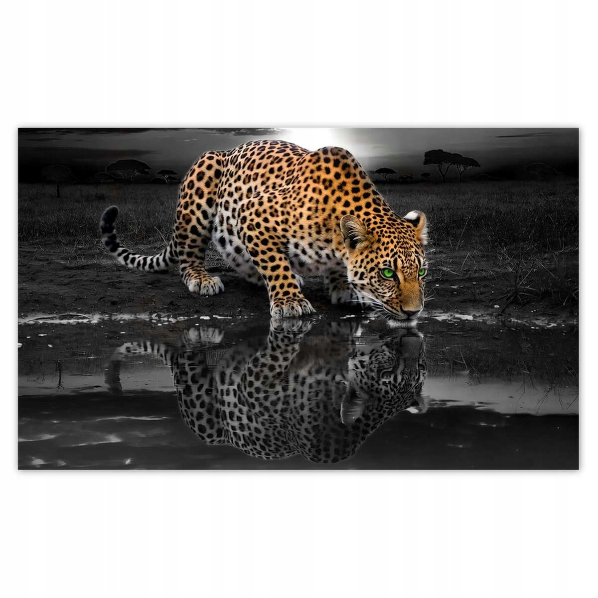 Fototapety 416x254 Gepard Na Stenu Do Spálne