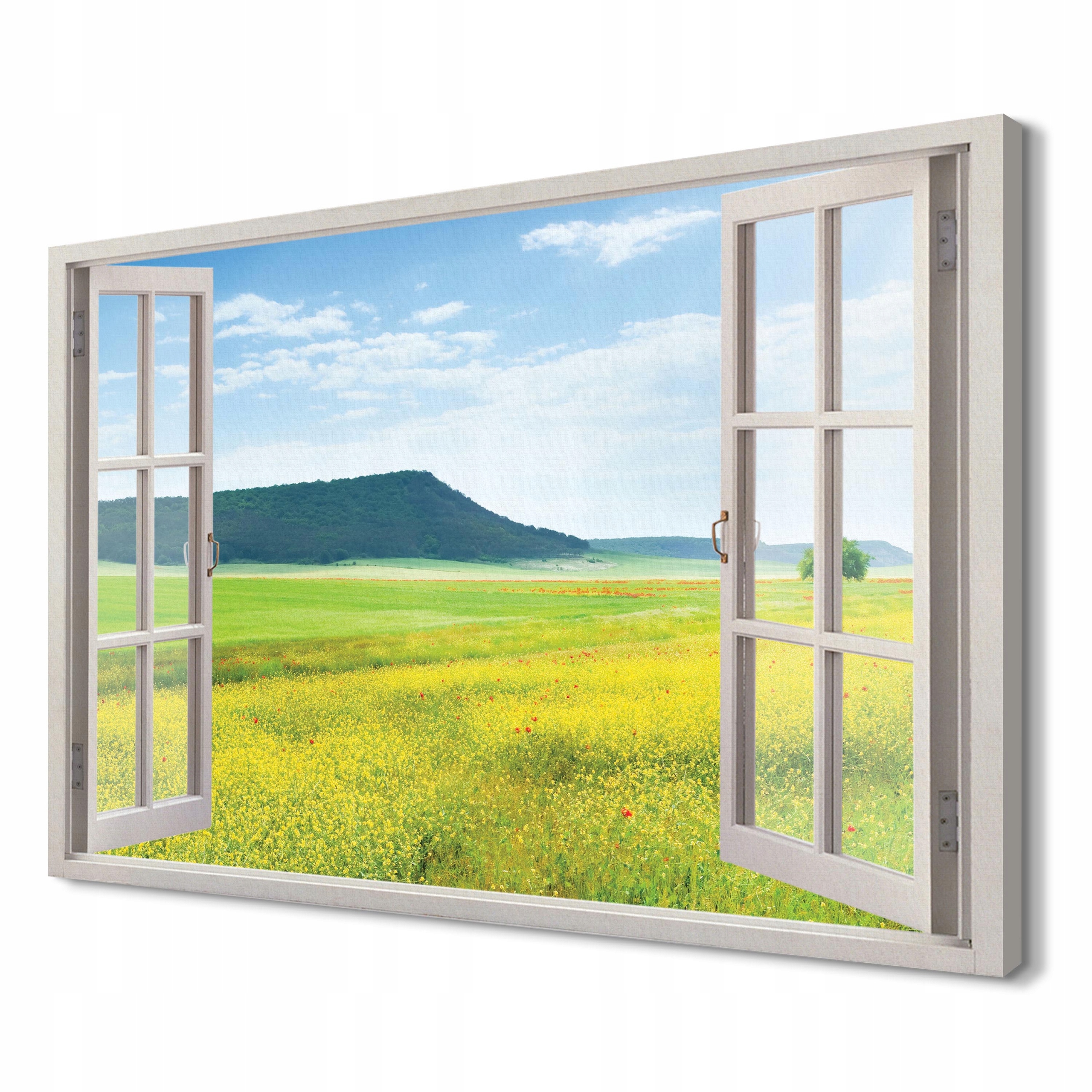 

Wiosenna łąka Obraz na płótnie 3d 120x80 ścienny