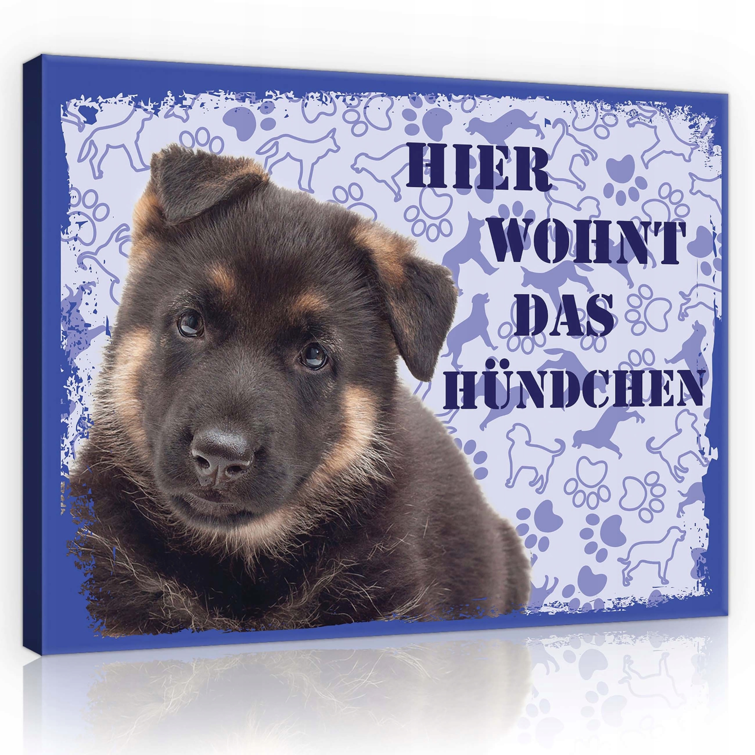 Obraz 100x75 Štěňátko německý ovčák roztomilý pes roztomilé domácí zvíře