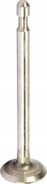 Výfukový ventil 590394