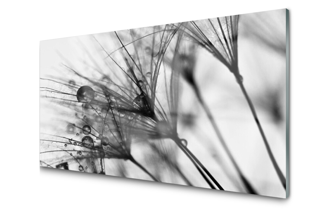 

Panel szklany dekor Abstrakcja Roślina 120x60