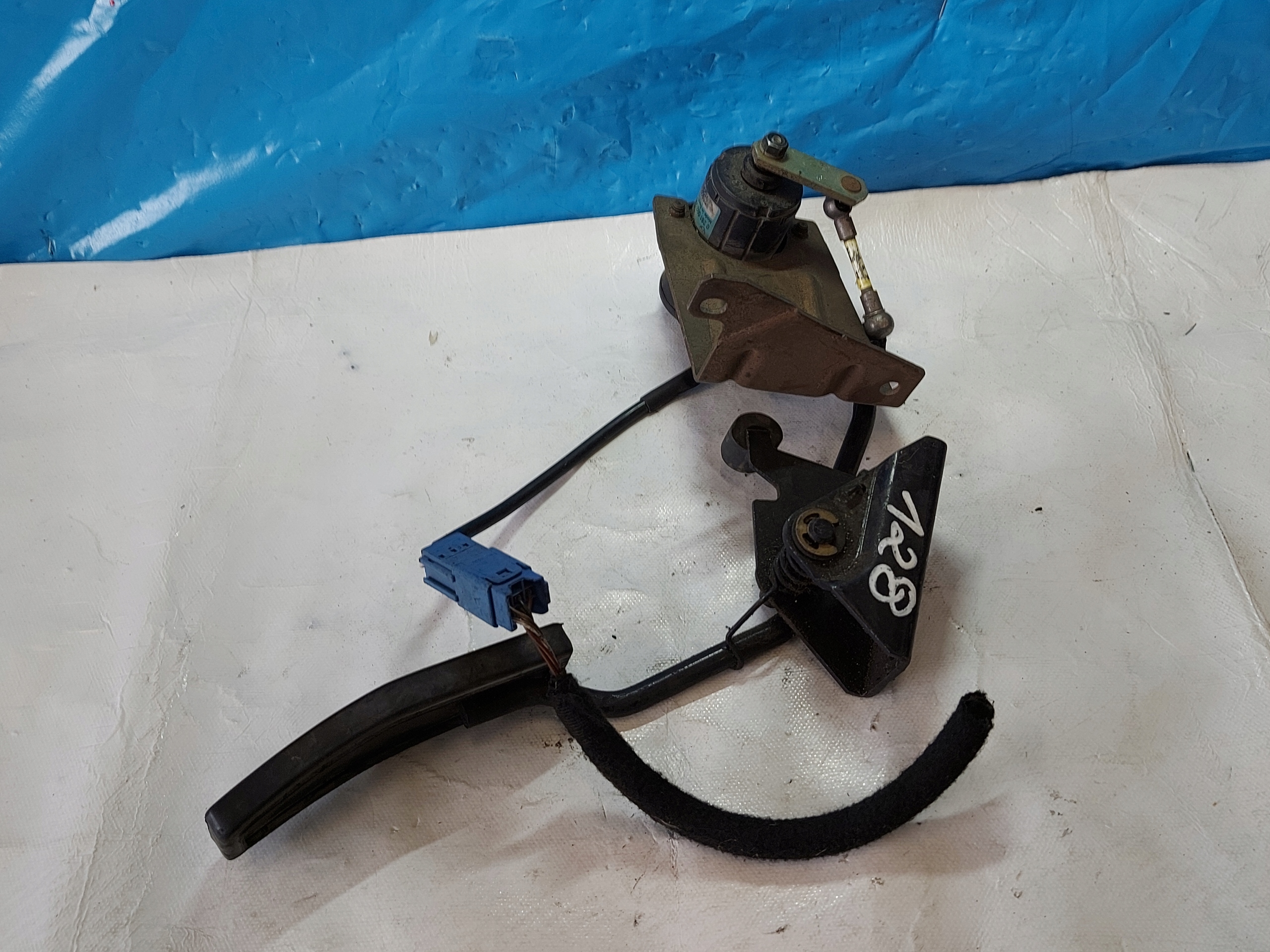 Gaspedal OPEL VECTRA B 0281002296