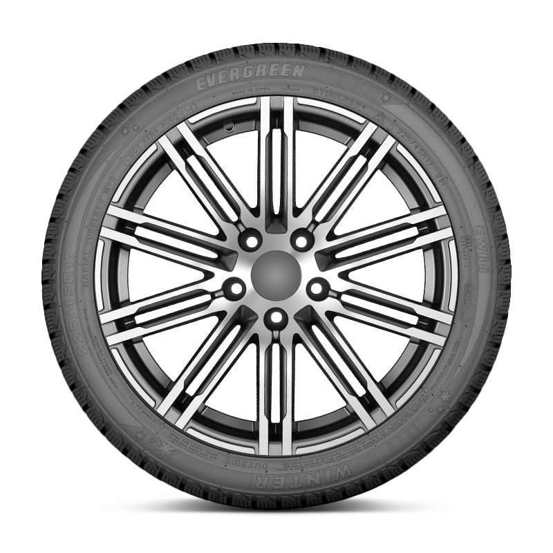 2x 205/50R17 Evergreen EW66 89H Model inny