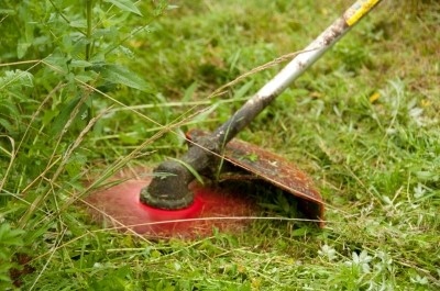 Tarcza Oregon 295497-0 Typ tarcza do kosy