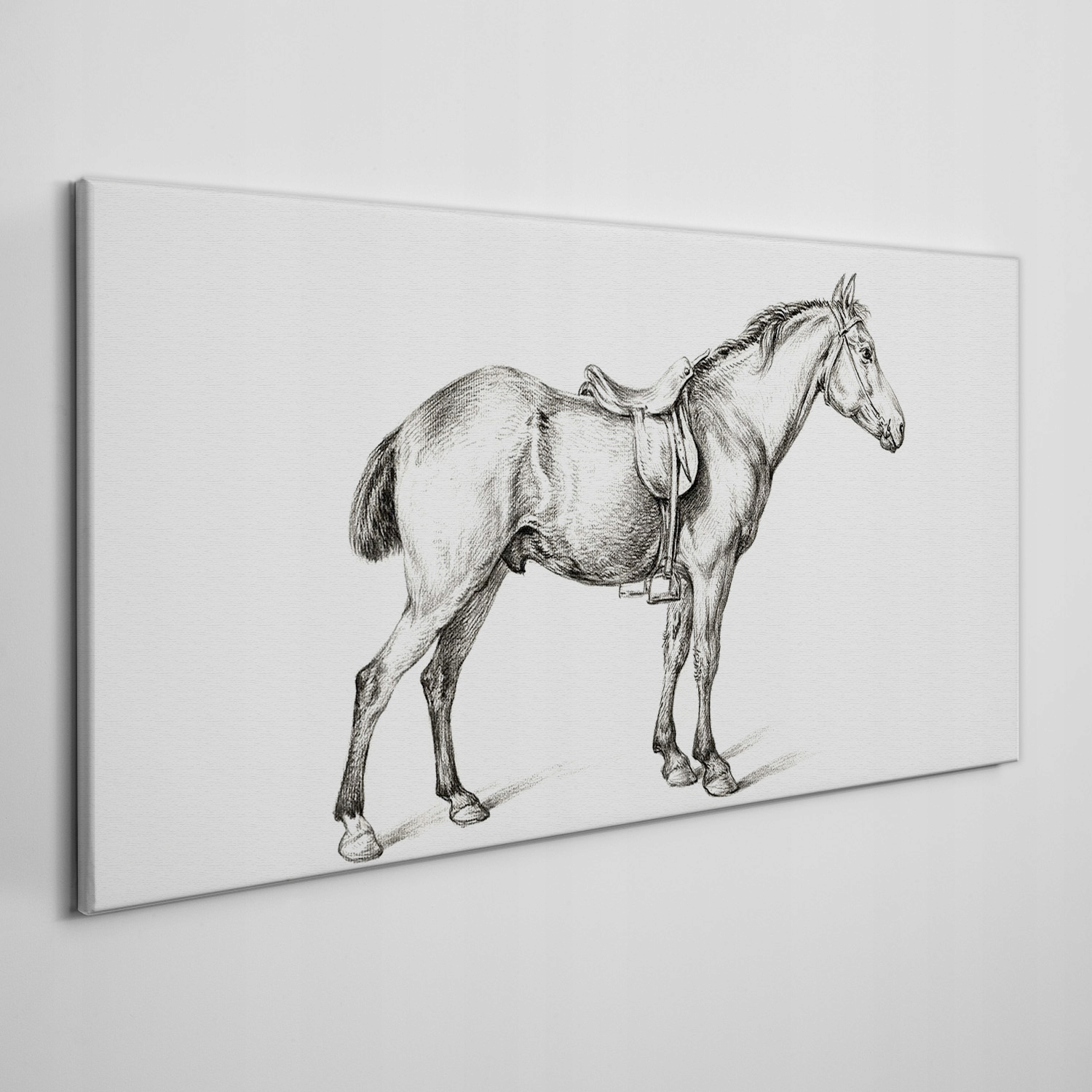 

Obraz na płótnie na ramie Zwierzę koń 100x50 cm