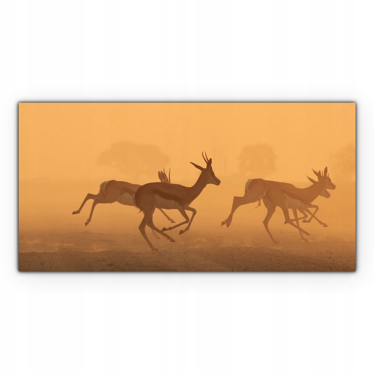 

foto-obraz na płótnie 100x50 Zachód Słońca Niebo