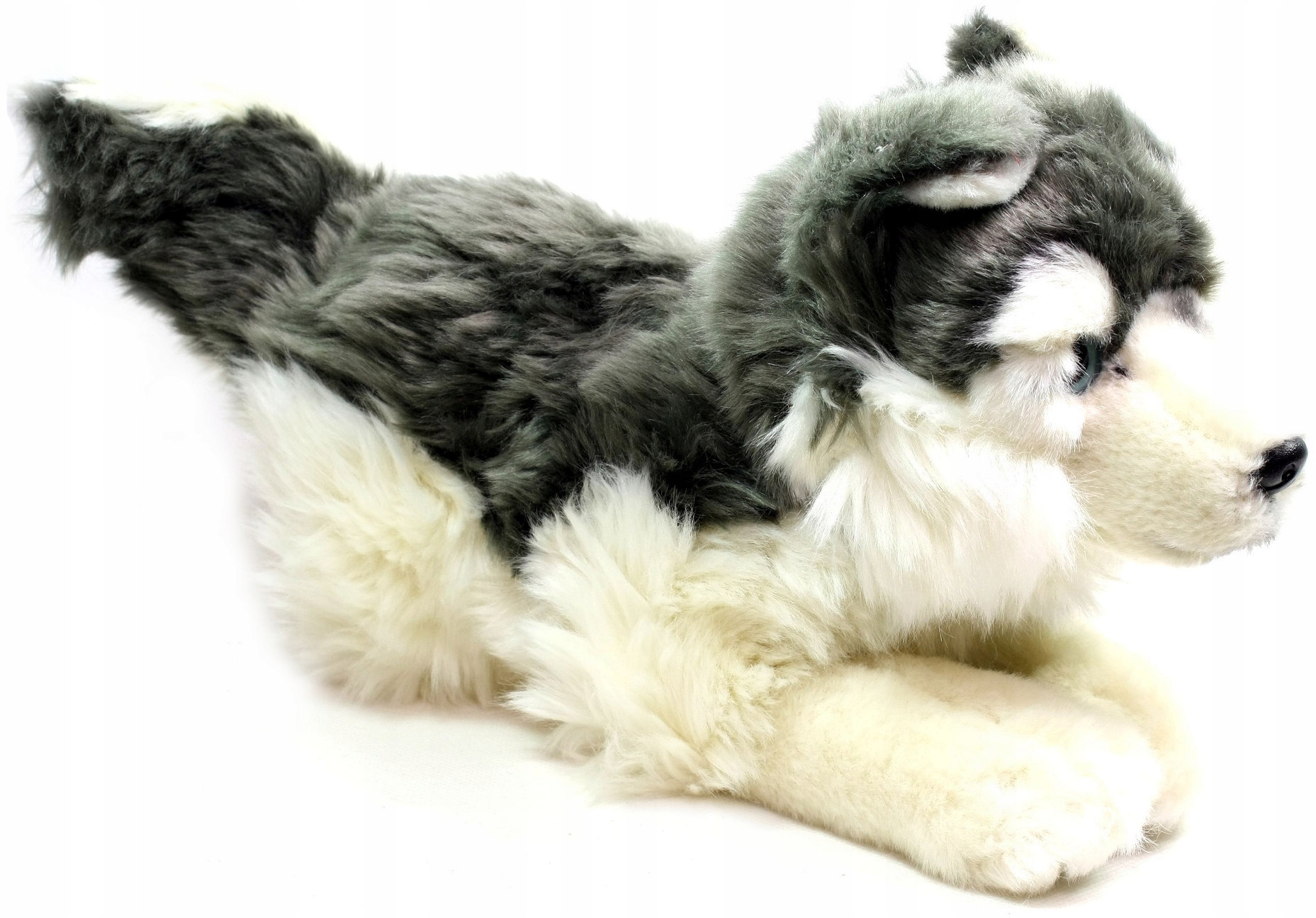 

Maskotka Pies Husky Pluszowy Leżący 26cm Uni-Toys