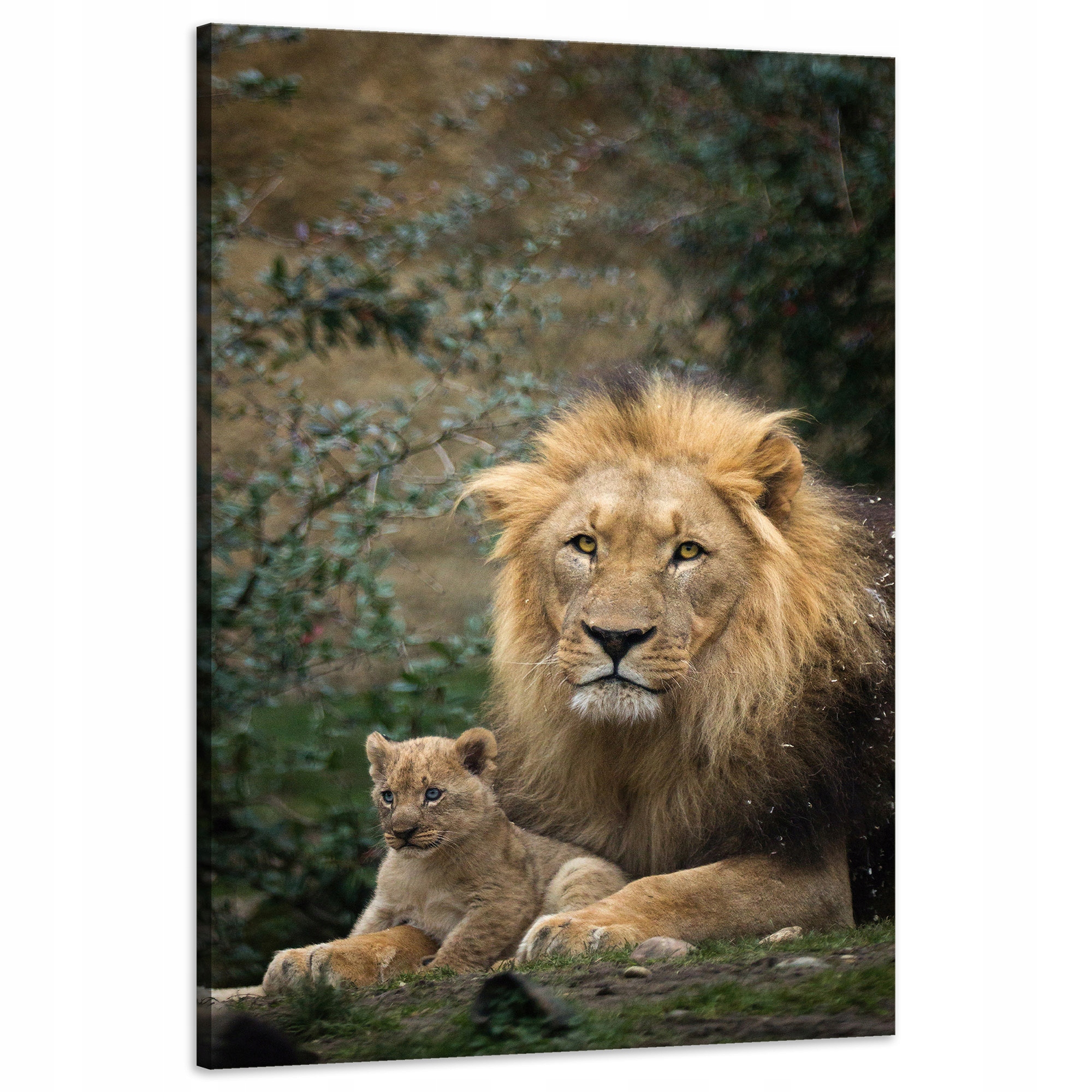 Obraz na plátně Lev a Lvíče Příroda Stromy Příroda 60x90 cm