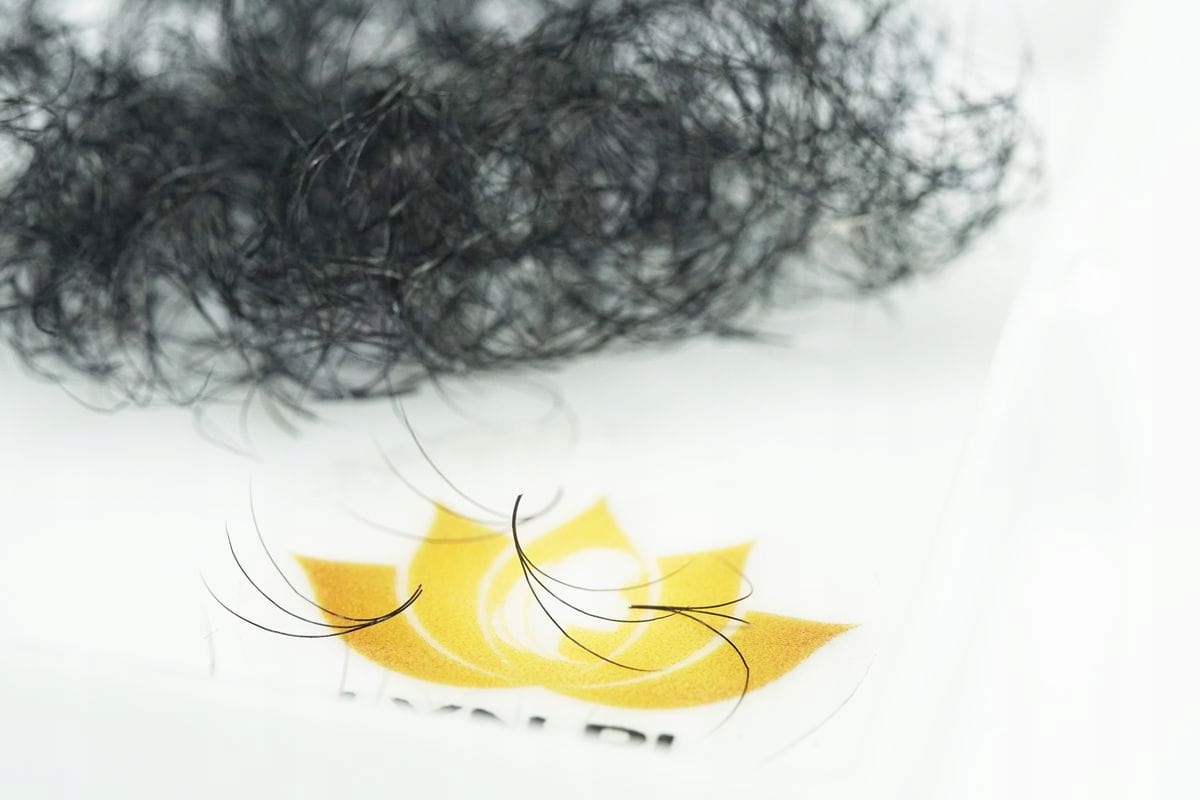 

Wachlarzyki Rzęsy Kępki 3D-0,05-C 950 SZT#1318-12