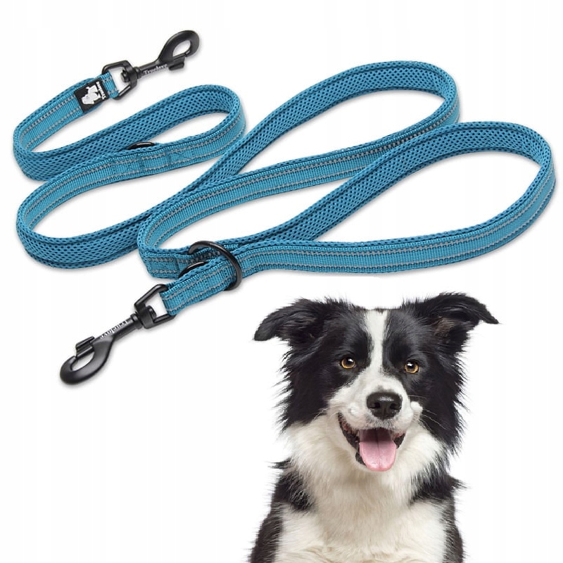Levně Vodítko Pro Psa Přepínací Reflexní Truelove Active Pro+ 250 CM Modrá M