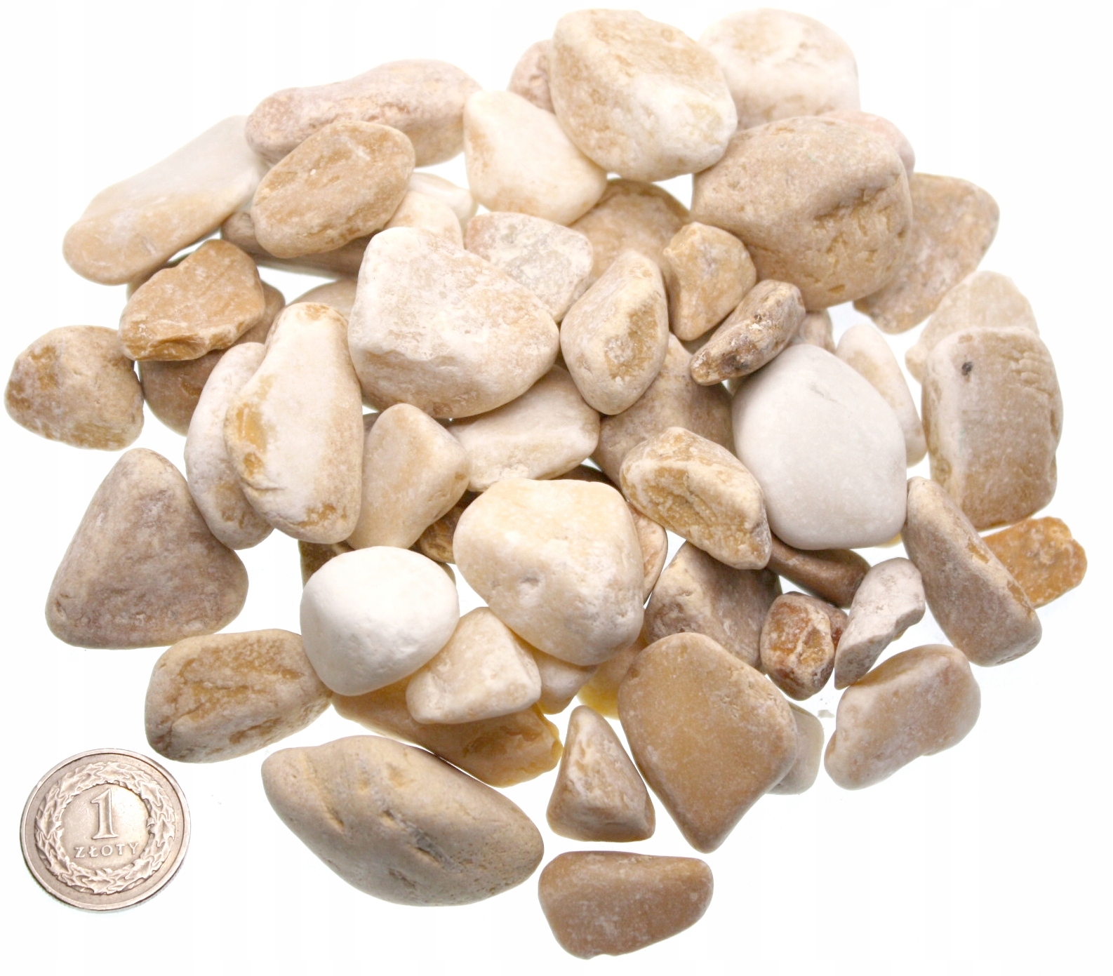 

Otoczak jasno beżowy Italy do wazonu 1-2 cm 0,5 kg