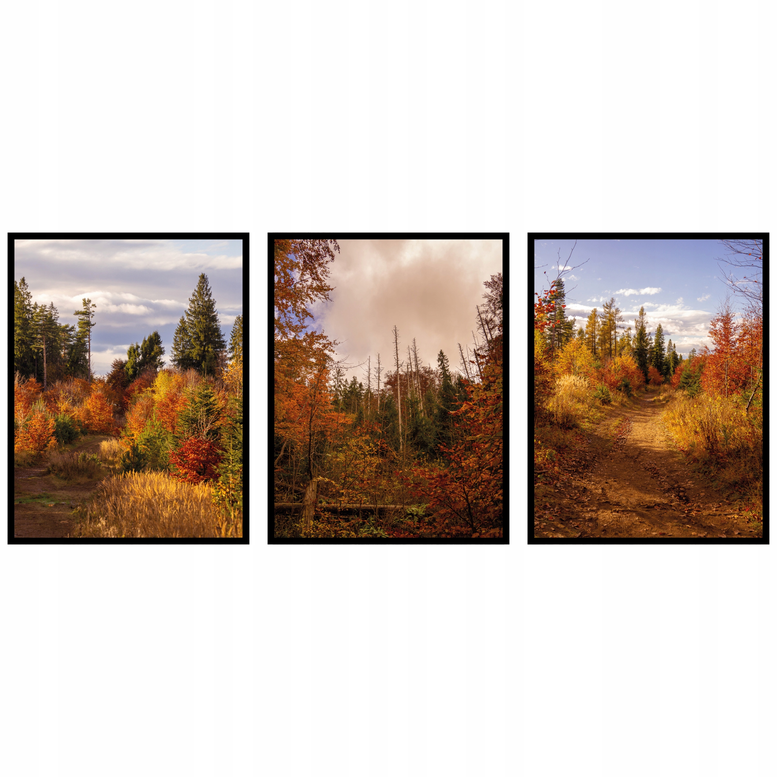 Stromy les Krajina Plagáty 3ks 70x100cm triptych panoráma fotografie jeseň
