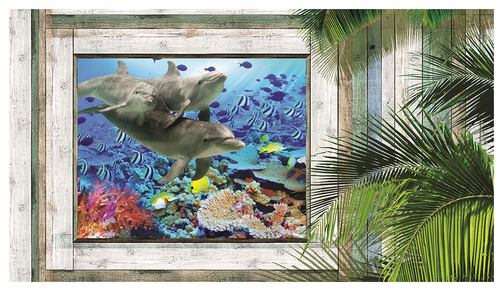 Fototapeta Delfíni korálový útes tropy okno na oceán 312x219 lepidlo