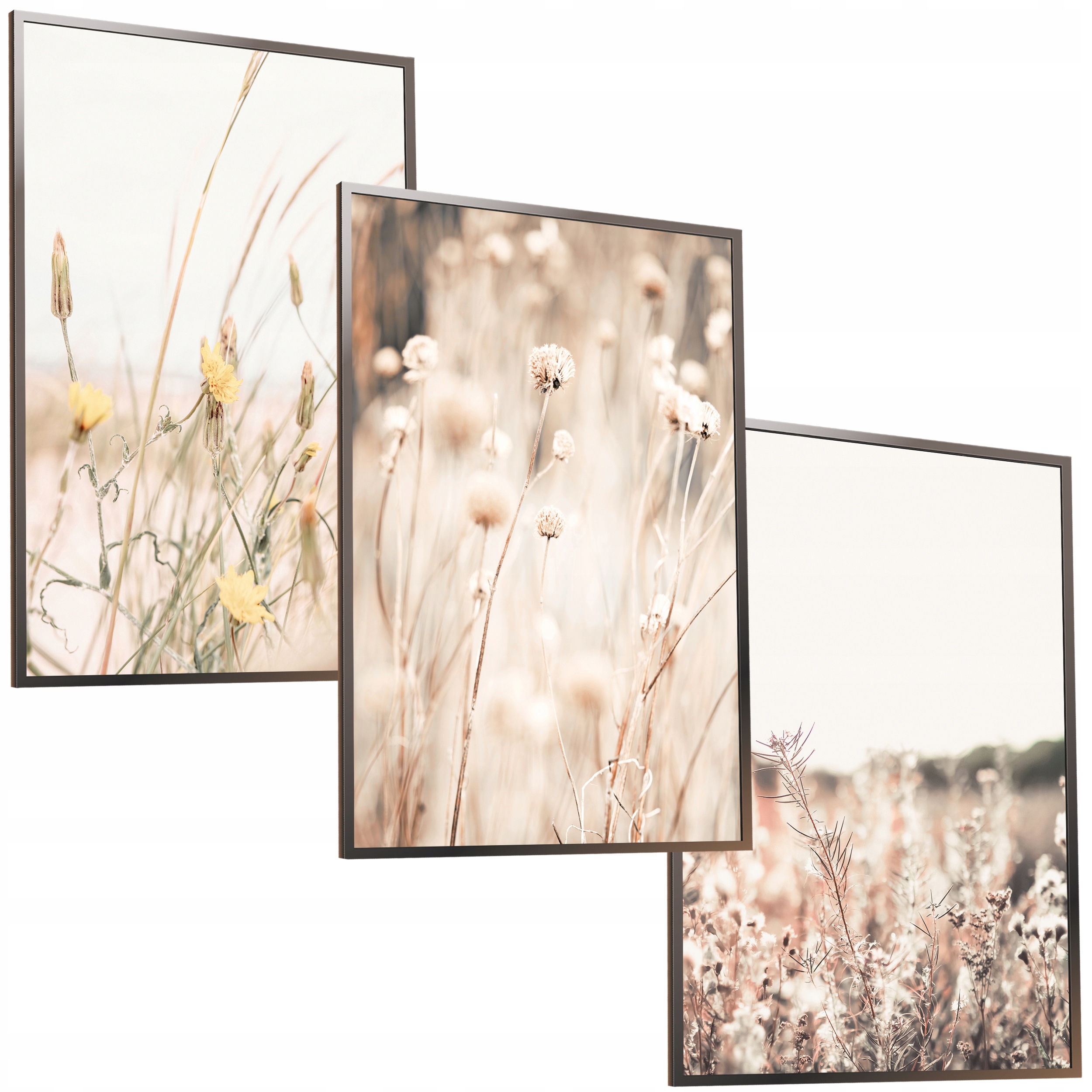 

Zestaw 50x40 Ramka Obraz Boho Sucha Trawa Łąka