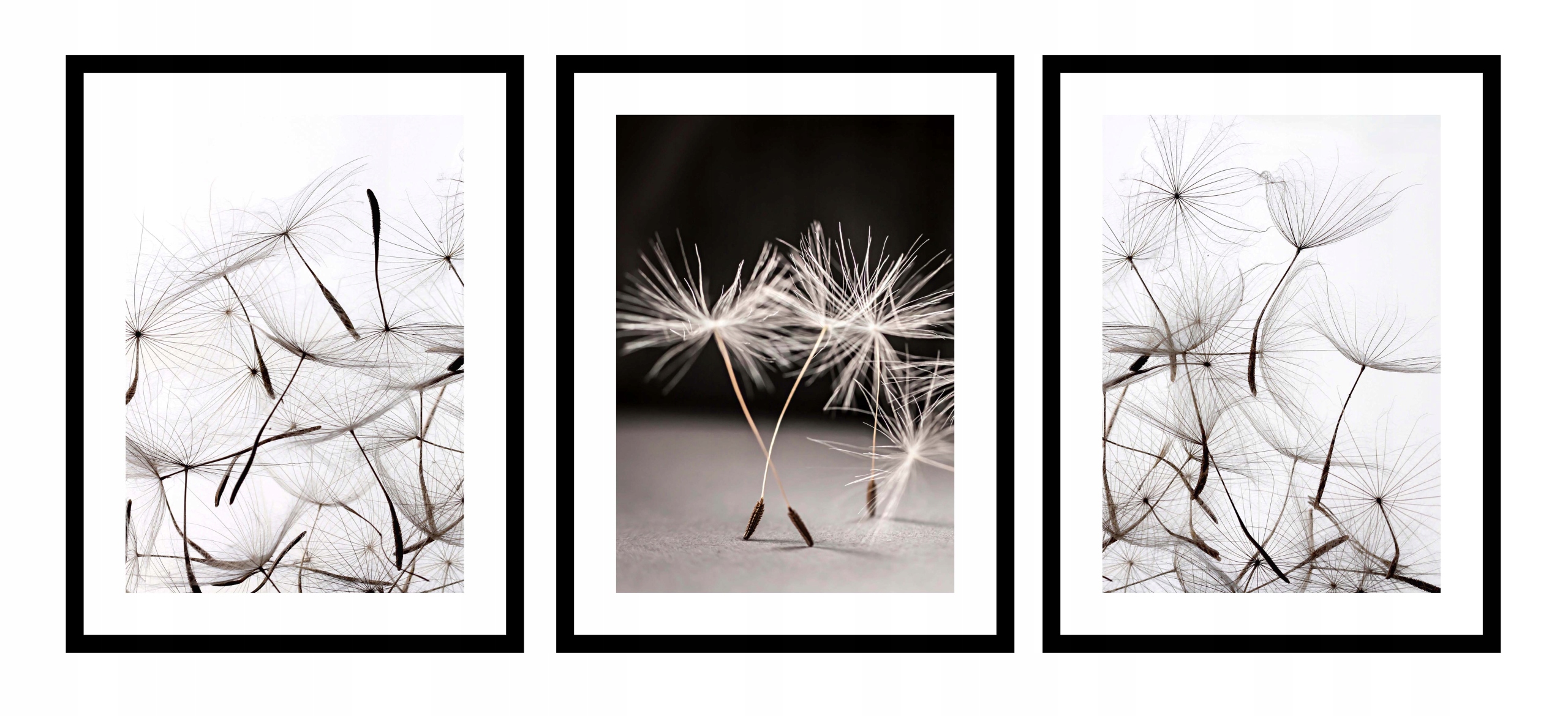 

Obrazy w ramie Nowoczesna Seria Dmuchawce