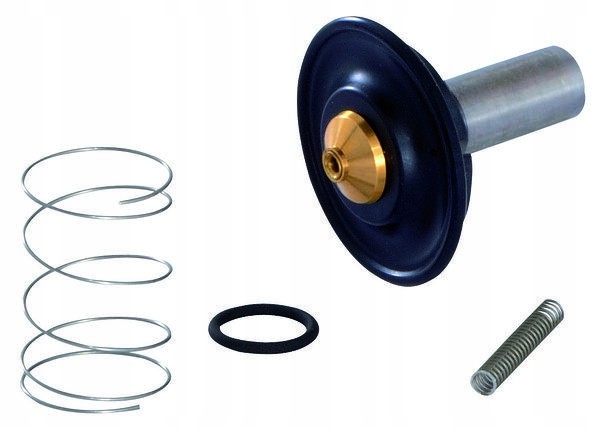 membrana elektrozaworu 1/2'' Pft oryginał