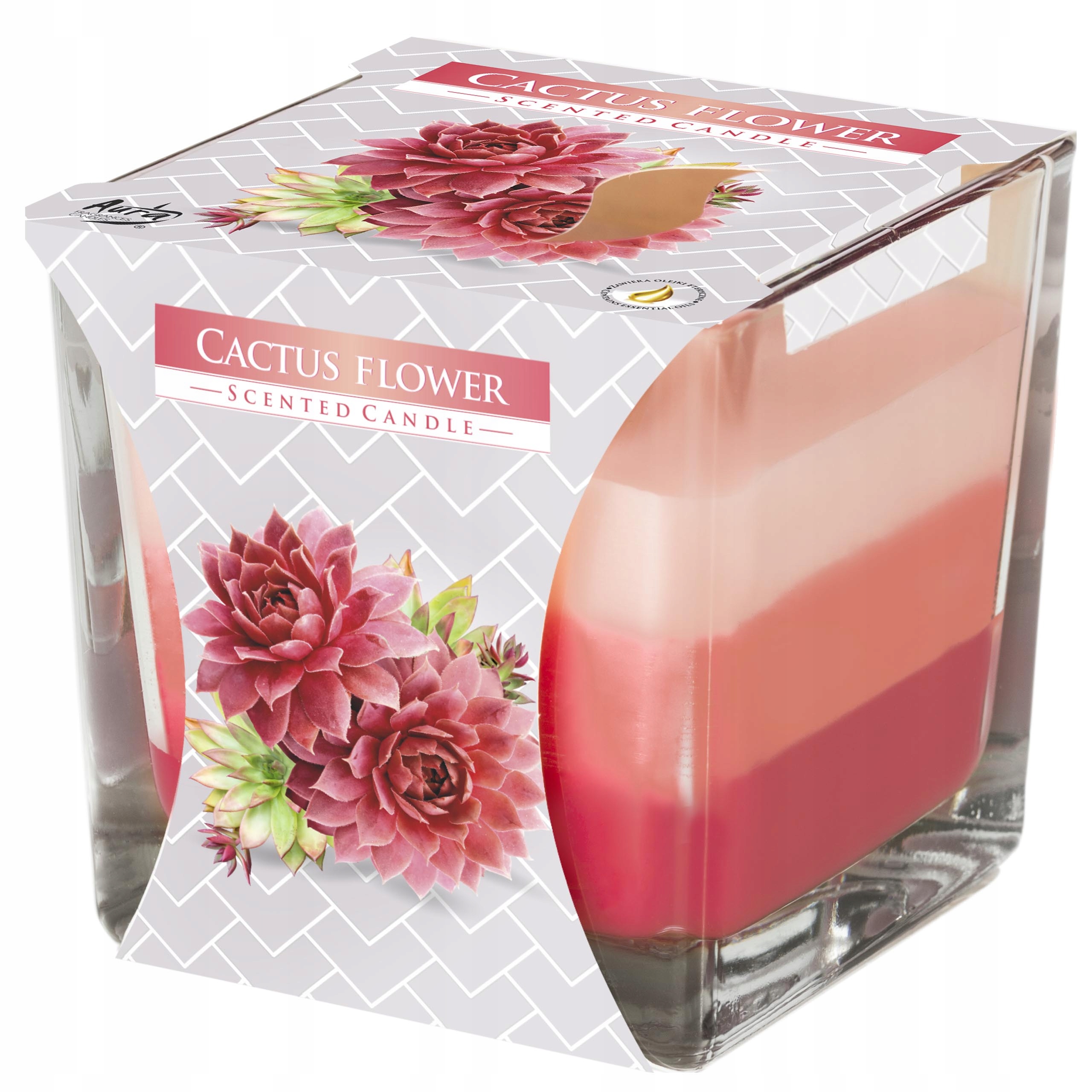 

Tęczowa Świeca w Szkle Kwiat Kaktusa