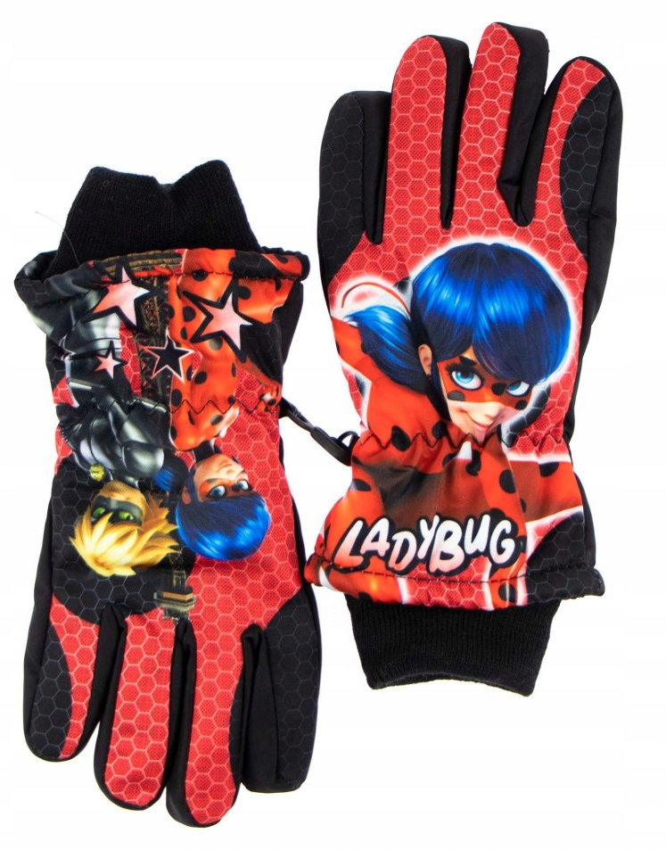 

Rękawiczki Grube Zimowe Miraculum Bierdonka 11-12