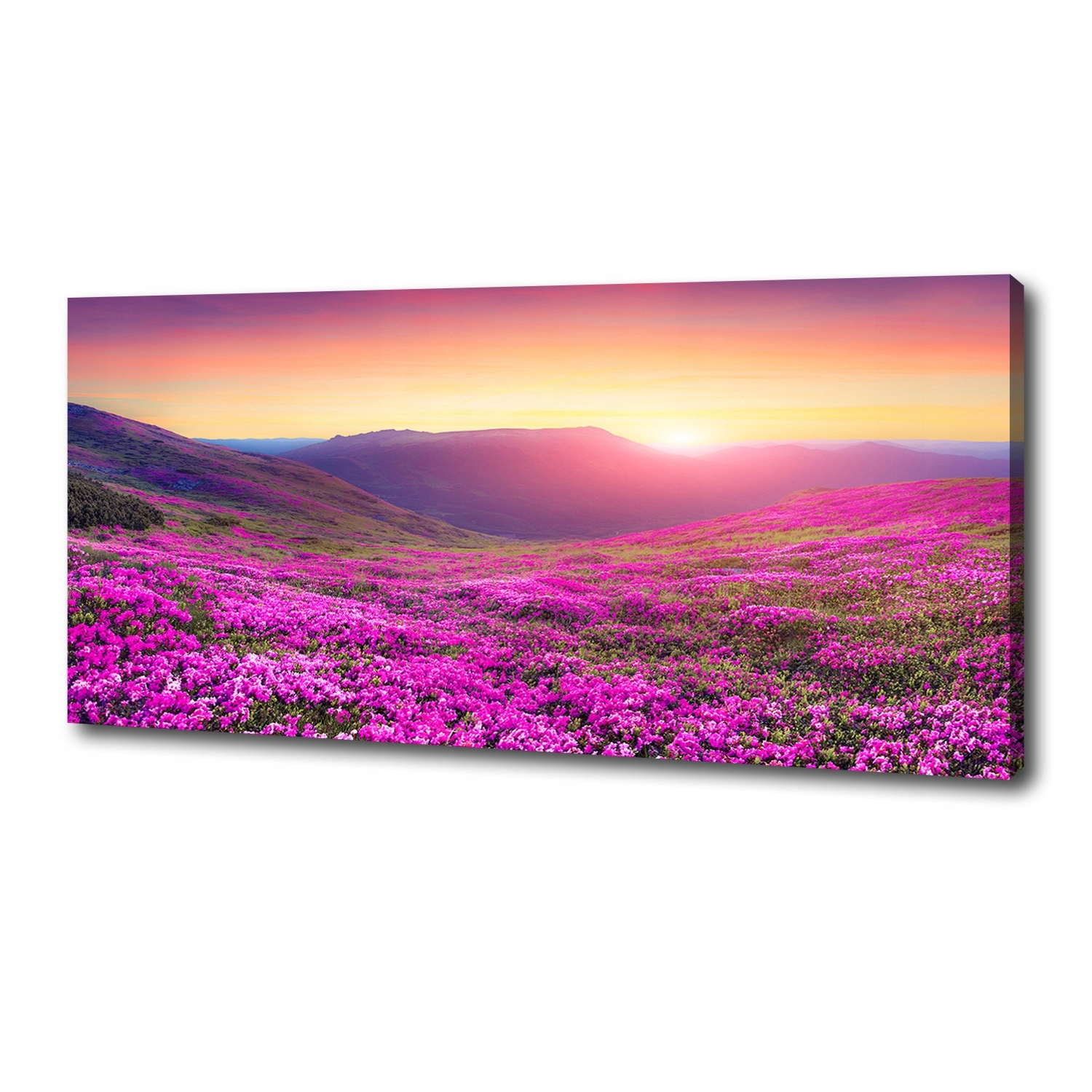 

Foto obraz na płótnie Różowe wzgórza 125x50 cm