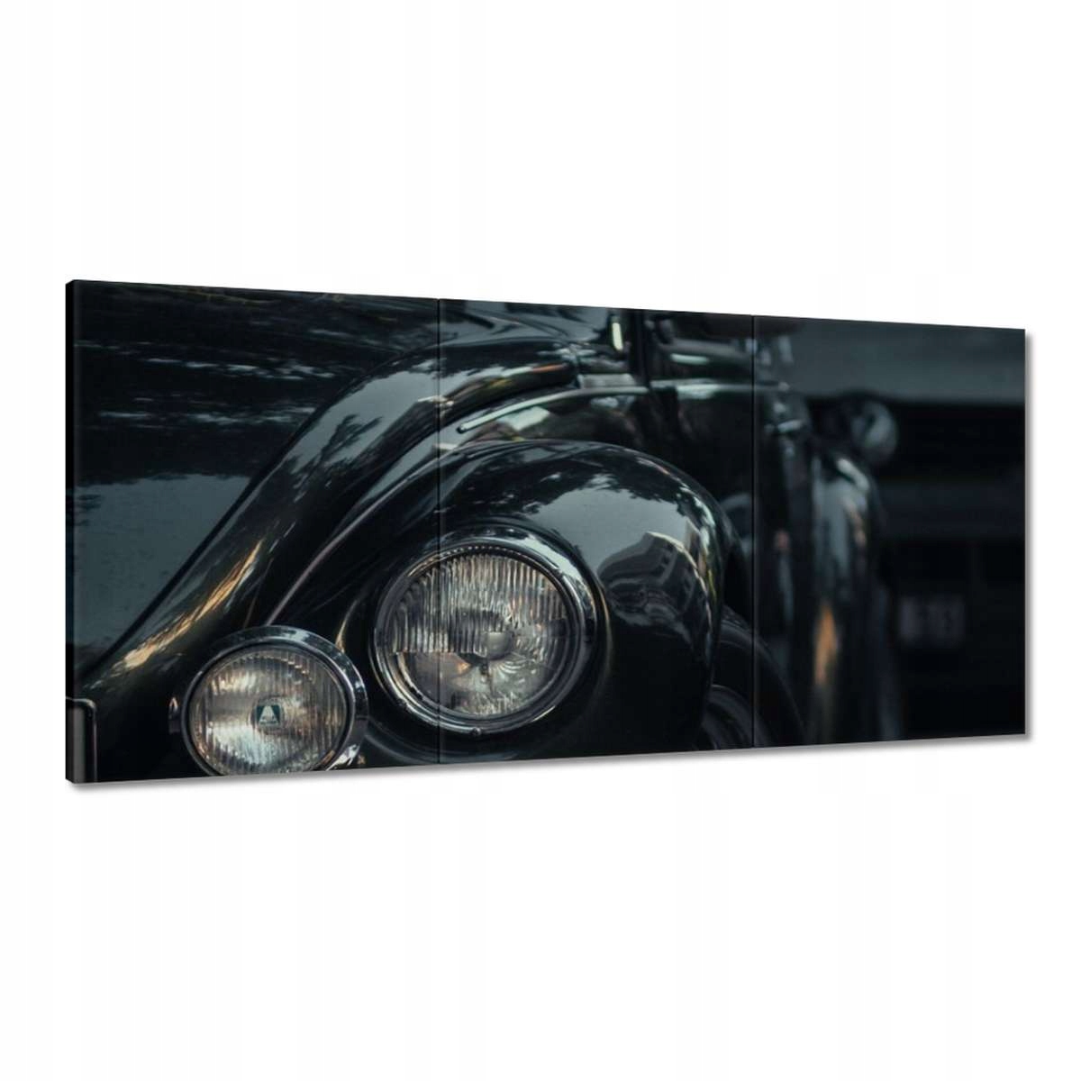 Obrazy 180x90 Čierny hrb z rekonštrukcie