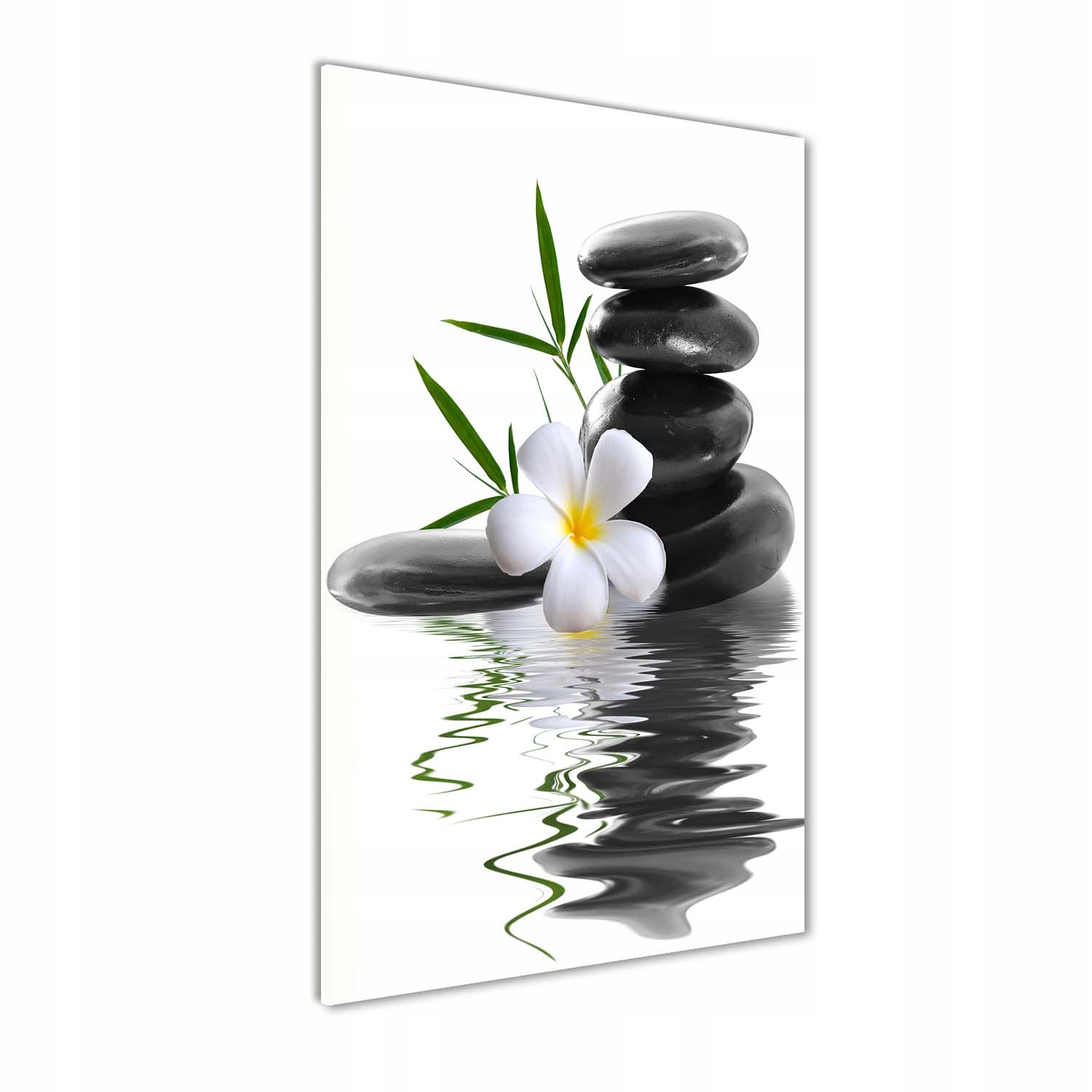 

Foto obraz na szkle Orchidea i kamienie 70x140 cm