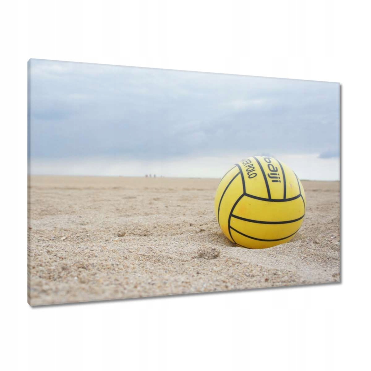 Obrazy 100x70 Plážový volejbalový míč