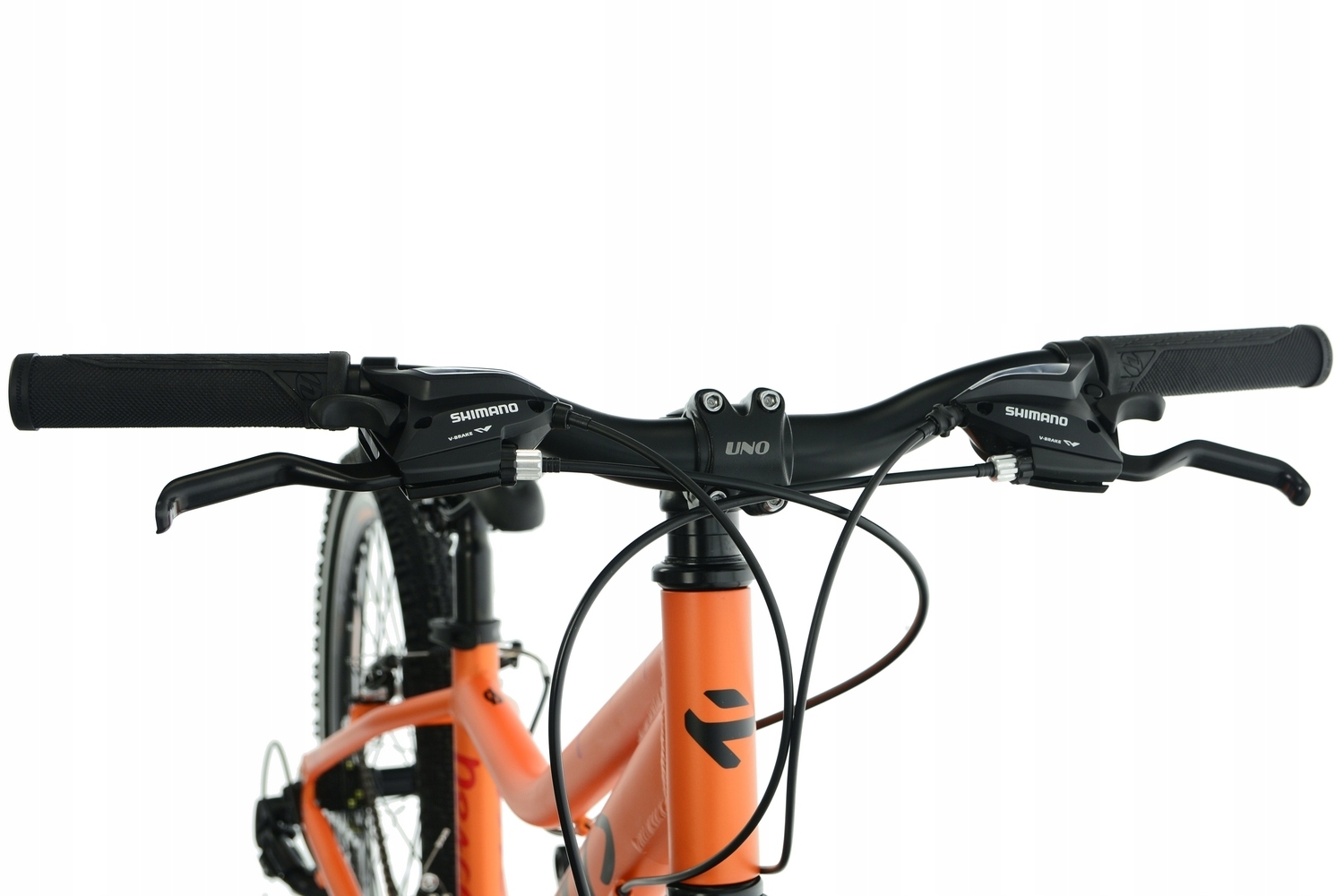 Rower Kands 24 Dragon r13