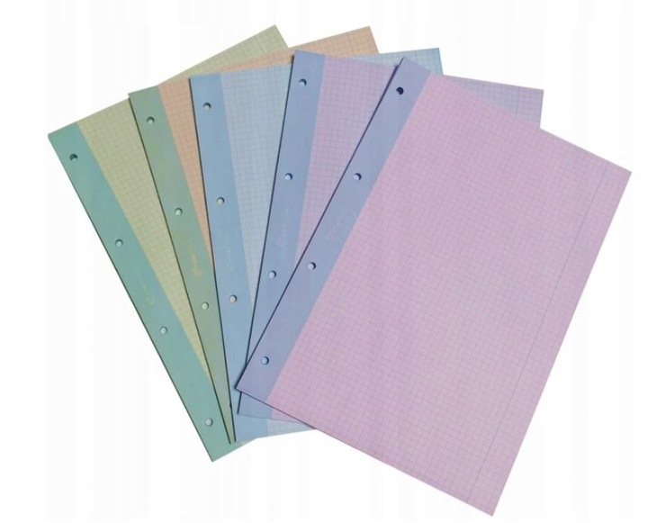 

Kolorowe Kartki do segregatora A4 250SZT Interdruk