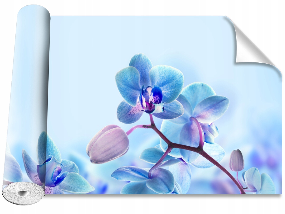 

Tapeta Samoprzylepna Tropikalne storczyki 208x146