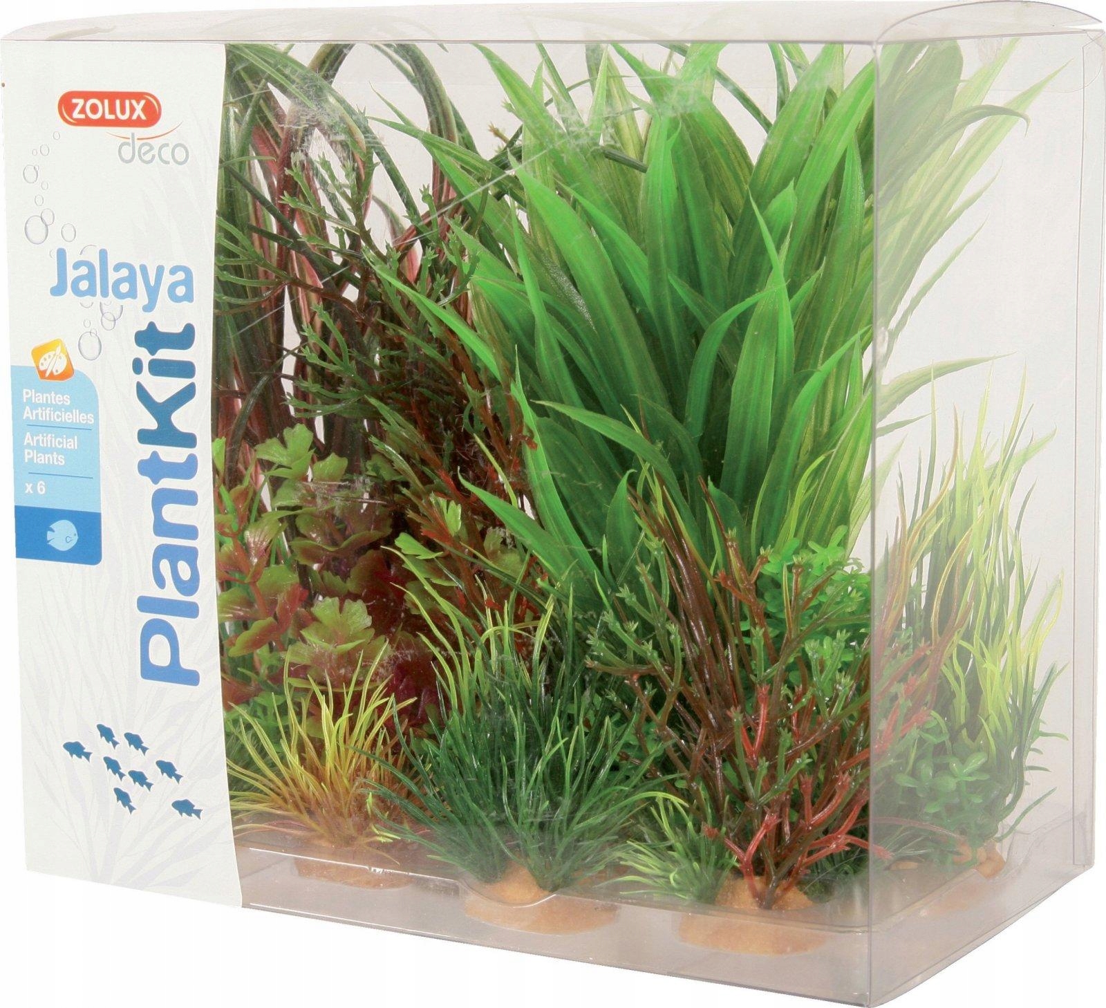 

Zolux Dekoracja roślinna Plantkit Jalaya model 3