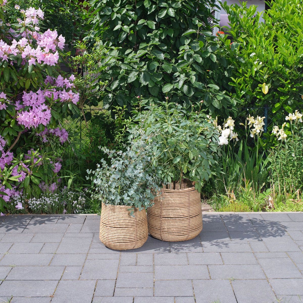 Zestaw 2 doniczek Servistray z naturalnej wikliny Kształt okrągły