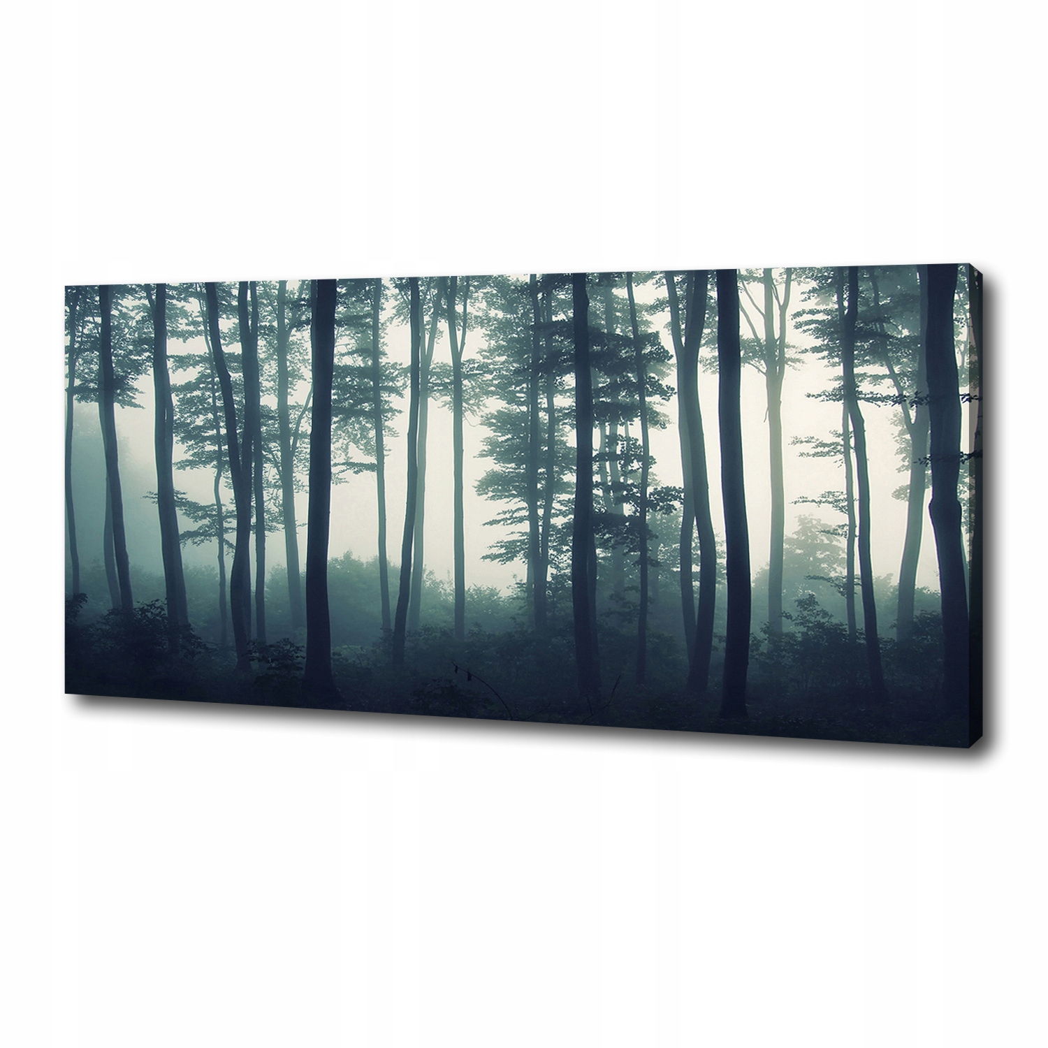 

Foto obraz canvas na ścianę Las we mgle 125x50 cm