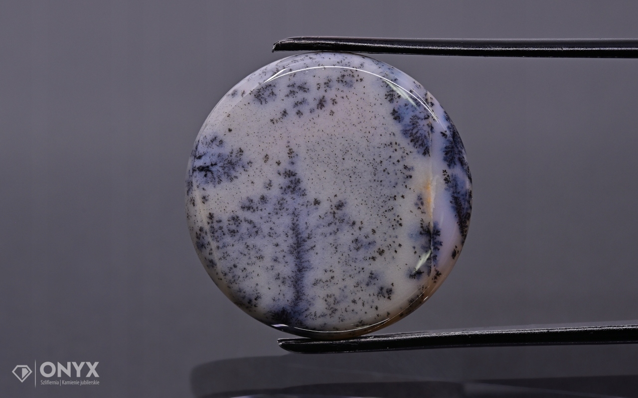 Dendritový achát z Kazachstánu konvexní mělký kruh