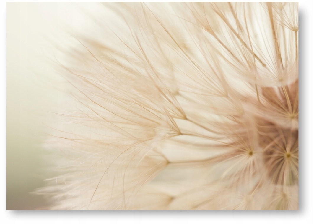 DMUCHAWIEC BOHO BEŻ plakat obraz 21x30 cm #205