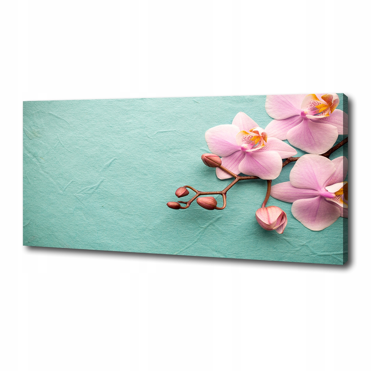 

Foto obraz canvas na ścianę Orchidea 125x50 cm