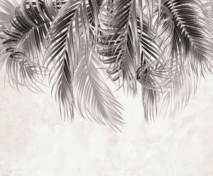 Fototapeta Visiaca papraď 300x250 vliesová 230 g