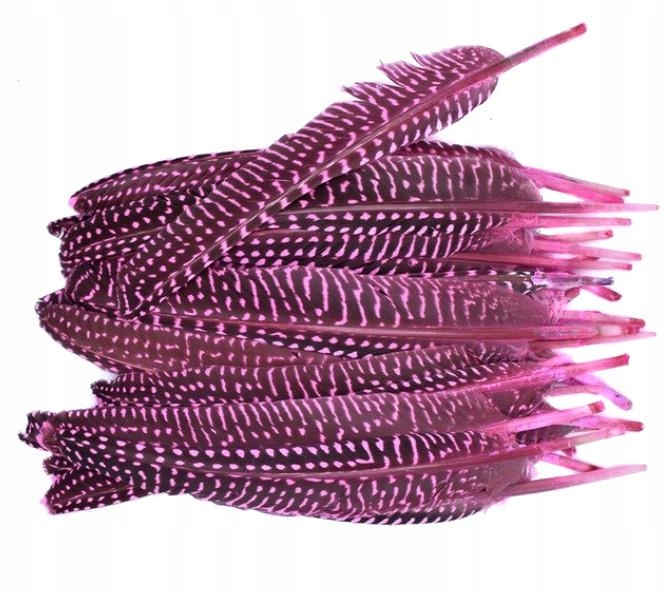 Perliczka perlica Lotka 15-20cm Różowe 5szt