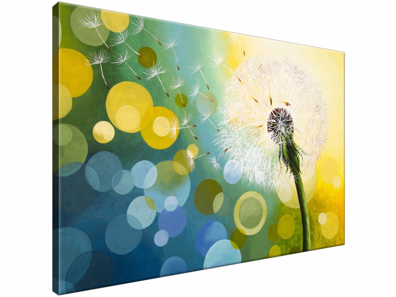 

Obraz drukowany Dmuchawiec w słońcu 90x60 super