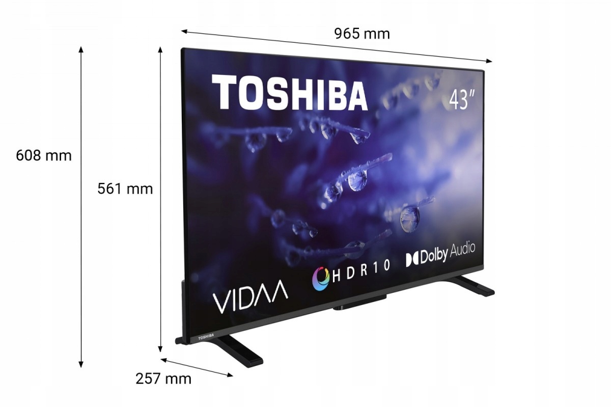 TOSHIBA Telewizor LED 43 cale 43LV2E63DG Model 43LV2E63DG
