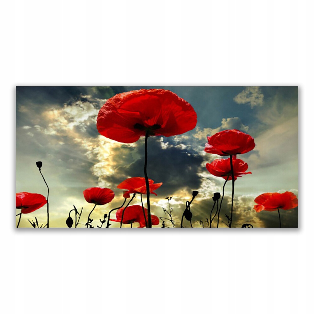 

Fotoobraz akryl 140x70 Maki Kwiaty Natura Roślina