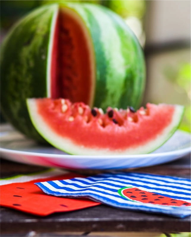 Serwetki stołowe Renova Navy 20 szt Marka inna