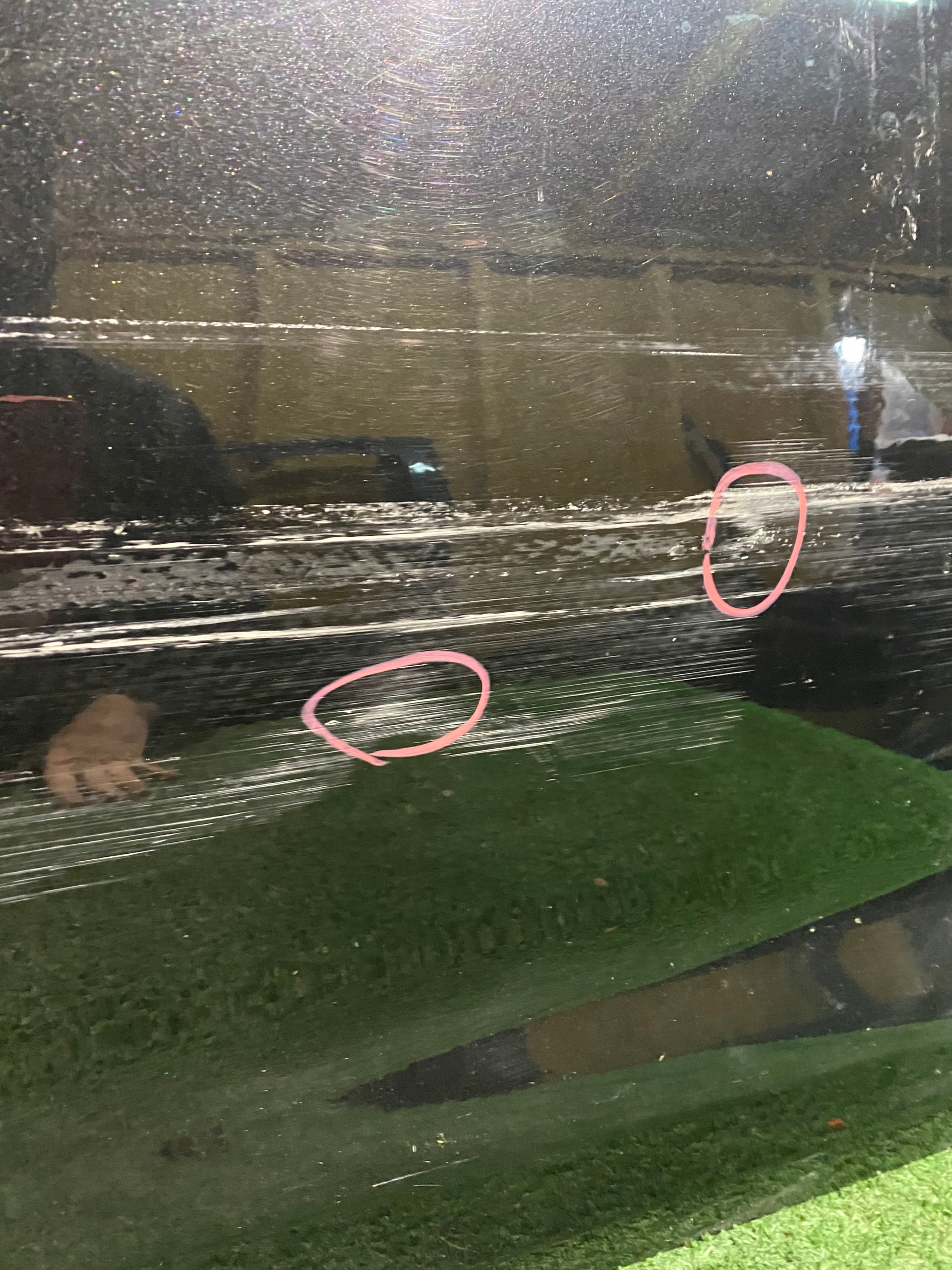 Tür hinten rechts TOYOTA COROLLA E21 HB