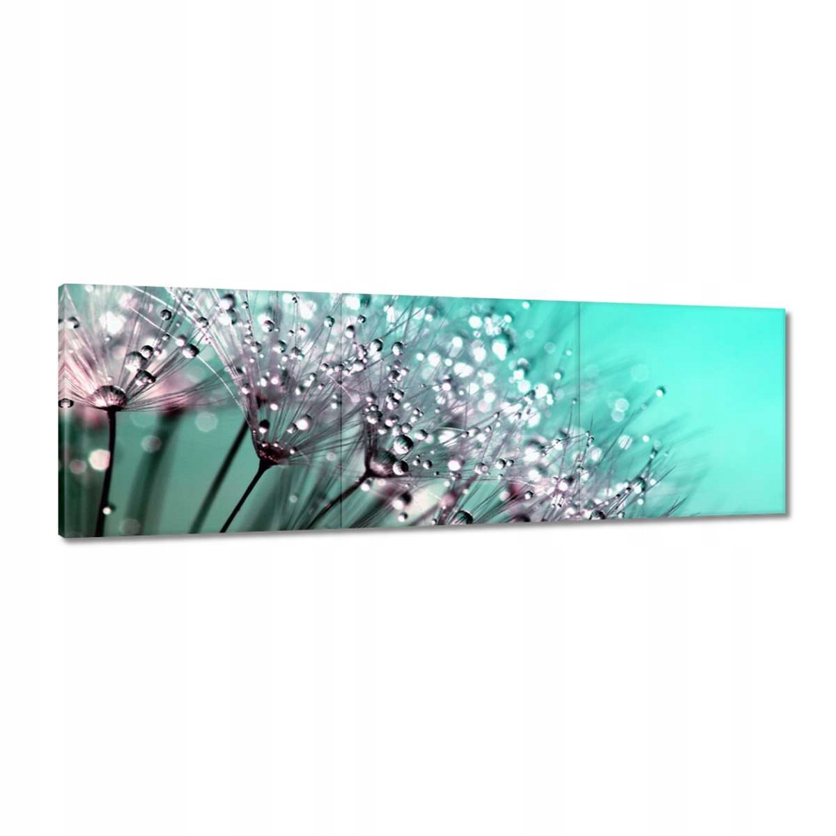 Obrazy 120x40 Kapky rosy Pampeliška