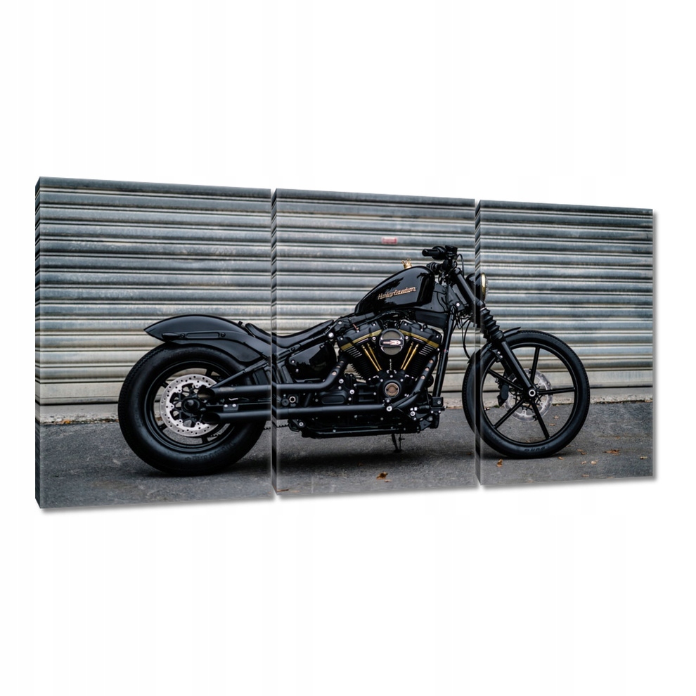 

Obrazy 120x60 Harley Davidson Motocykl